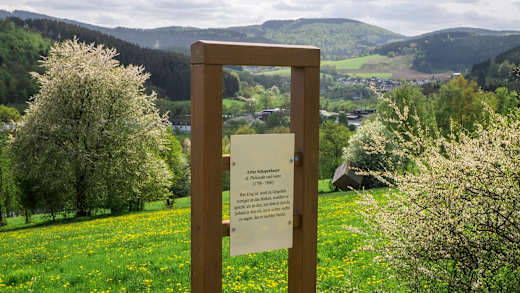 Philosophenpfad Schmallenberg