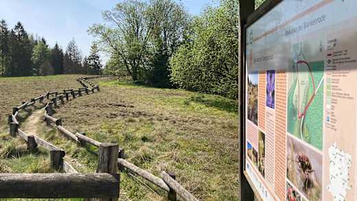 Naturschutzgebiet Bleikuhlen | Lichtenau-Blankenrode