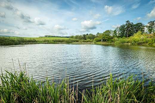 Eichholzmaar (2)