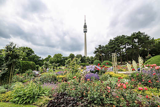 Rasarium Westfalenpark_Dortmund