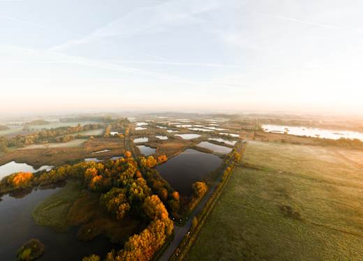 Riselfelder aus der Vogelperspektive