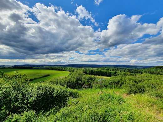 Eifel-Blick