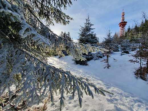 Stüppel und Stüppelturm im Winter