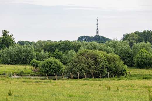 Naturschutzgebiet Welter Bach in Dülmen