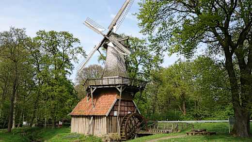 Hüvener Mühle, Wind- und Wassermühle an der Radde Emsland Tourismus GmbH (20).jpg