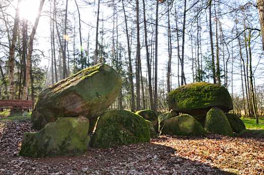 Großsteingrab Poldenhünensteine (Station 20b) nahe Werlte Emsland Tourismus GmbH (9).jpg