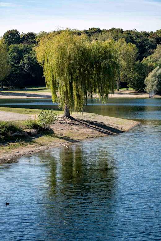 Fühlinger See