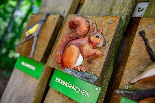 Schermbeck Neue Wildnis Dämmerwald