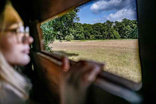 Wesel, Diersfordter Wald