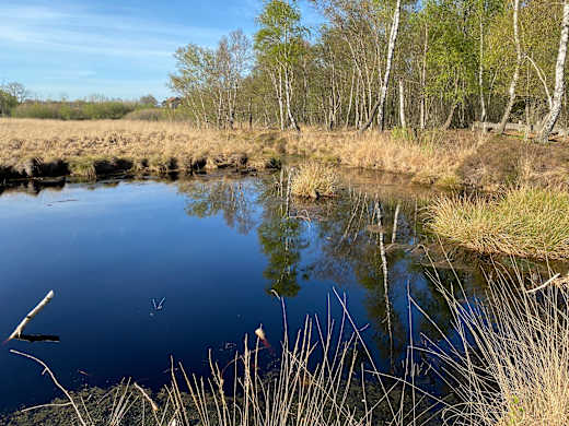 Emsdettener Venn Rundweg Erlebnispfad