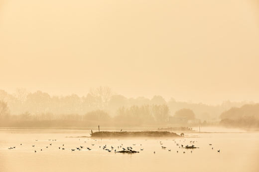muenster-rieselfelder-winter-1