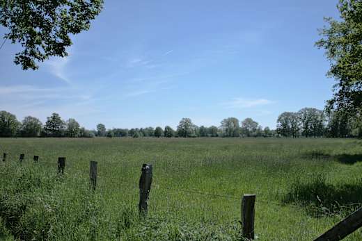 metelen-naturschutzgebiet-strönfeld