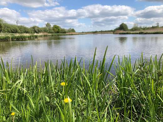 Süßwasserwatt Aper Tief