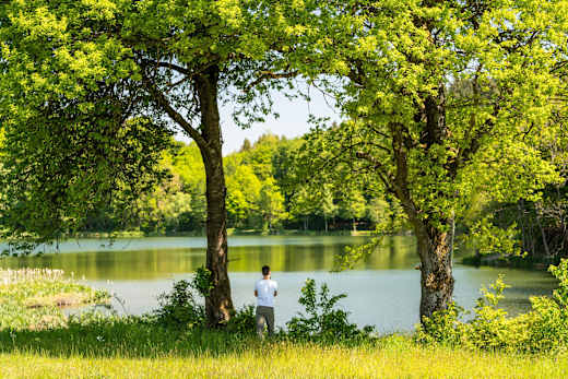 Holzmaar