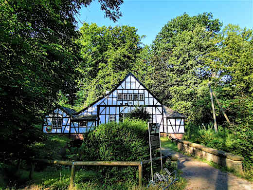Halbachhammer Sommer