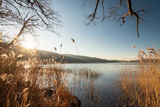 Idyllisches Ufer am Laacher See, Wanderweg Pellenzer Seepfad