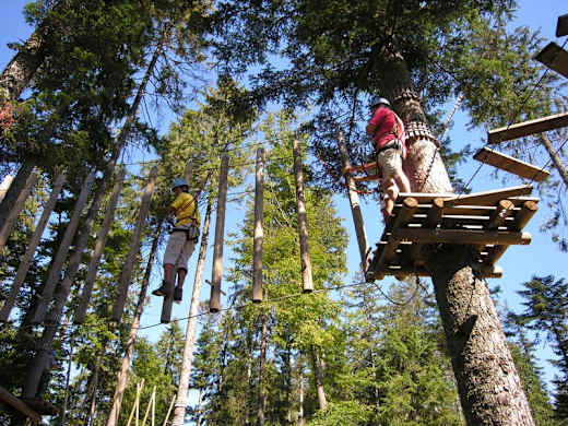Der Klettergarten am Mehliskopf