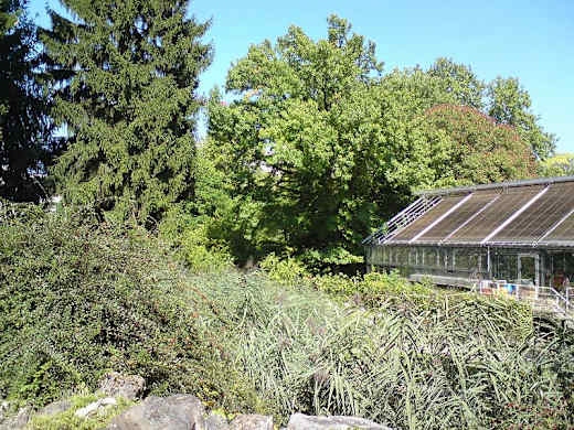 Der botanische Garten in Heidelberg
