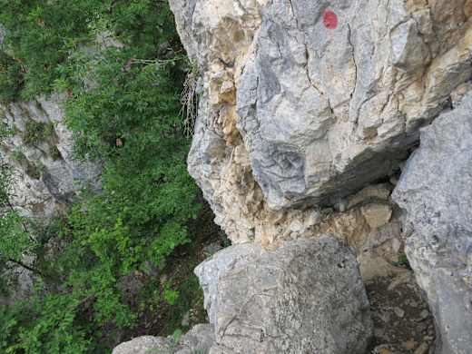 Rote Punkte weisen den Weg