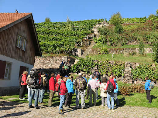 Durch Tännichtgrund und Lotzebachtal