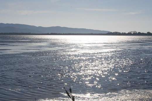 Burano WWF Oasi