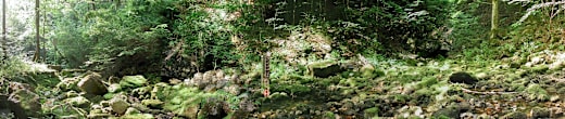Steinbachquelle