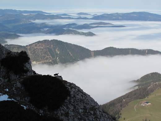 Nandlgrat, Schneeberg