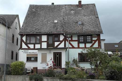 Fledermaushaus Bild 1