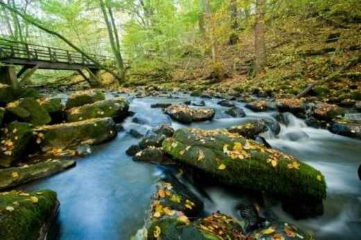 Die Holzbachschlucht