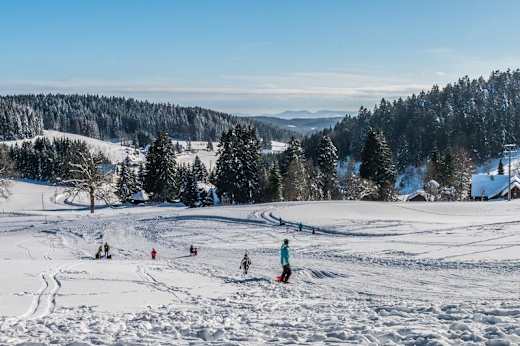 Rodelhang Wehrhalden