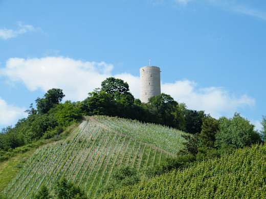 Die Ruine Scharfenstein wurde im Jahr 1160 als Landesburg erbaut.