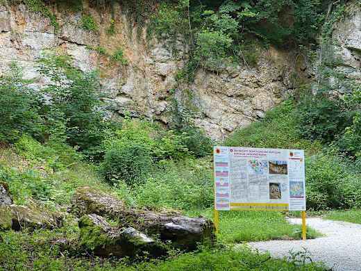 Kalksteinbruch Waldsee