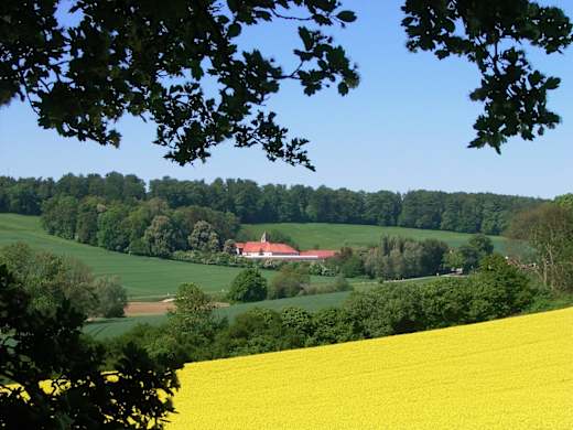 Blick auf die Clus