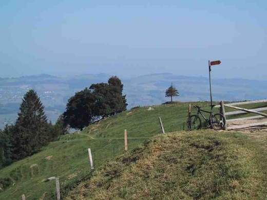 Seebodenalp