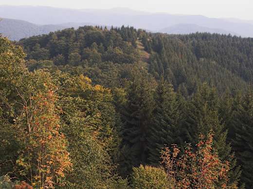 Aussicht vom Großen Knollen