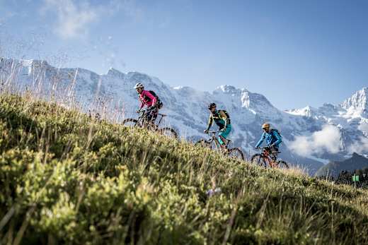 Mountain View Trail Mürren