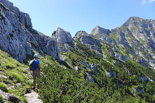 Die Höcker des Rauen Kamms