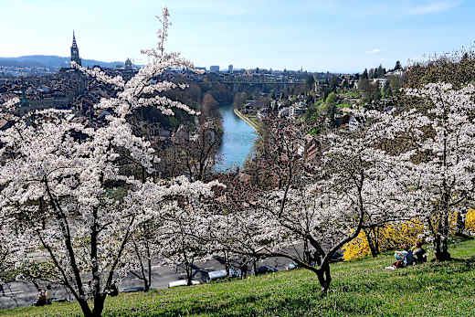 Blick vom Rosengarten auf Bern und Aare.