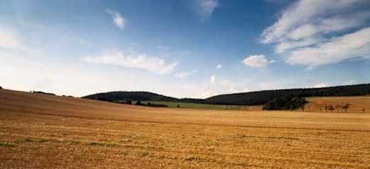 in der Börde