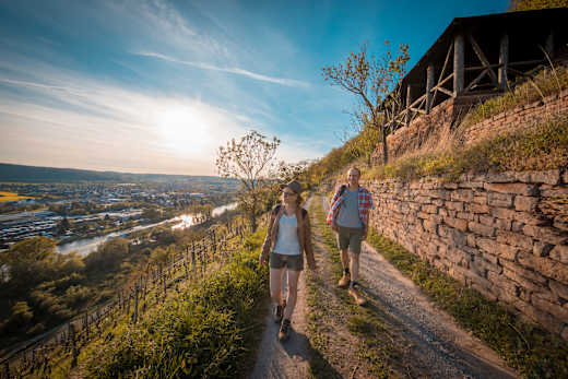 Etappe 4 von Erlenbach nach Klingenberg