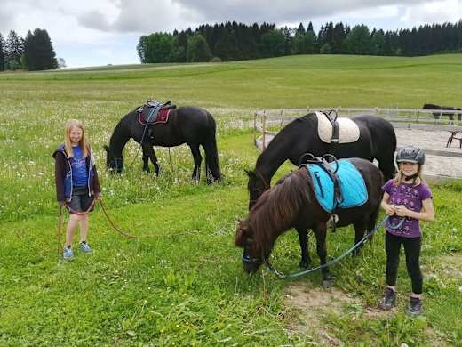 Geführtes Ponyreiten
