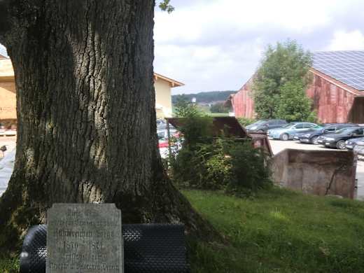 Siegeseiche von Ising