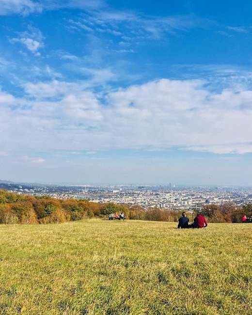 Blick vom Lainzer Tiergarten auf Wien