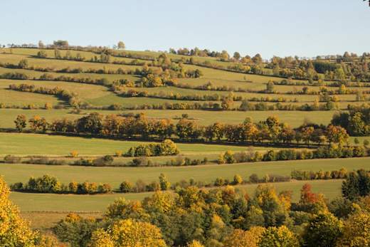 Waldhufenlandschaft in der Umgebung des Pöhlbergs