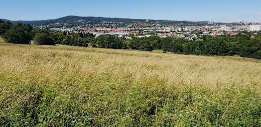 Blick vom Roten Berg aufs Wiental