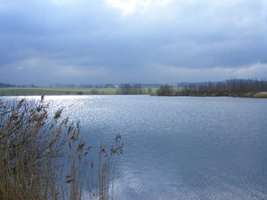 Naturreservat mit Zoo Park Amerika