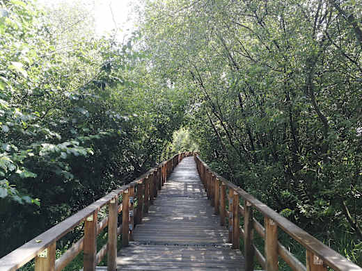 Moorbrücke Ahrensburg