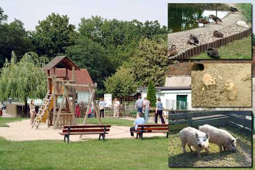 Fotomontage; Spielplatz im Kleintierzoo Strehla mit Tierabbildungen
