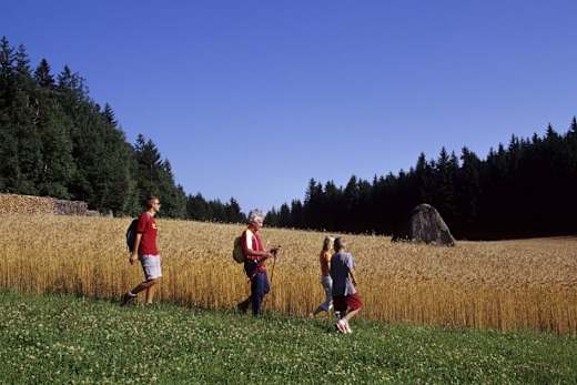 Foto: Archiv Waldviertel Tourismus