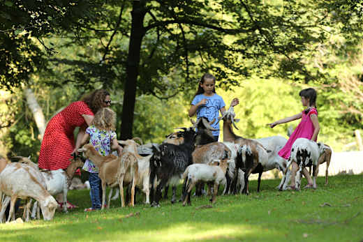 Tierpark Bretten